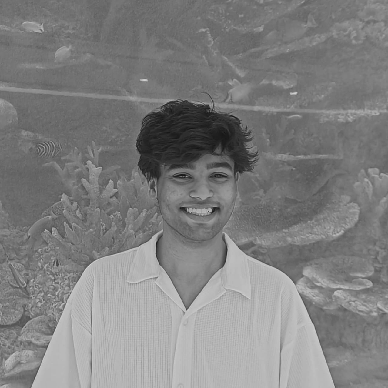 Sahil Ahmed Khan